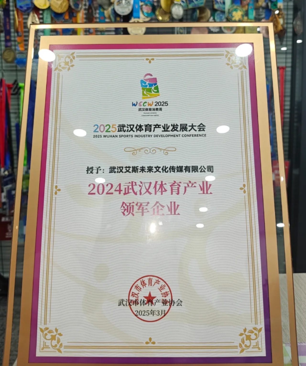 武汉体育产业领军企业证书