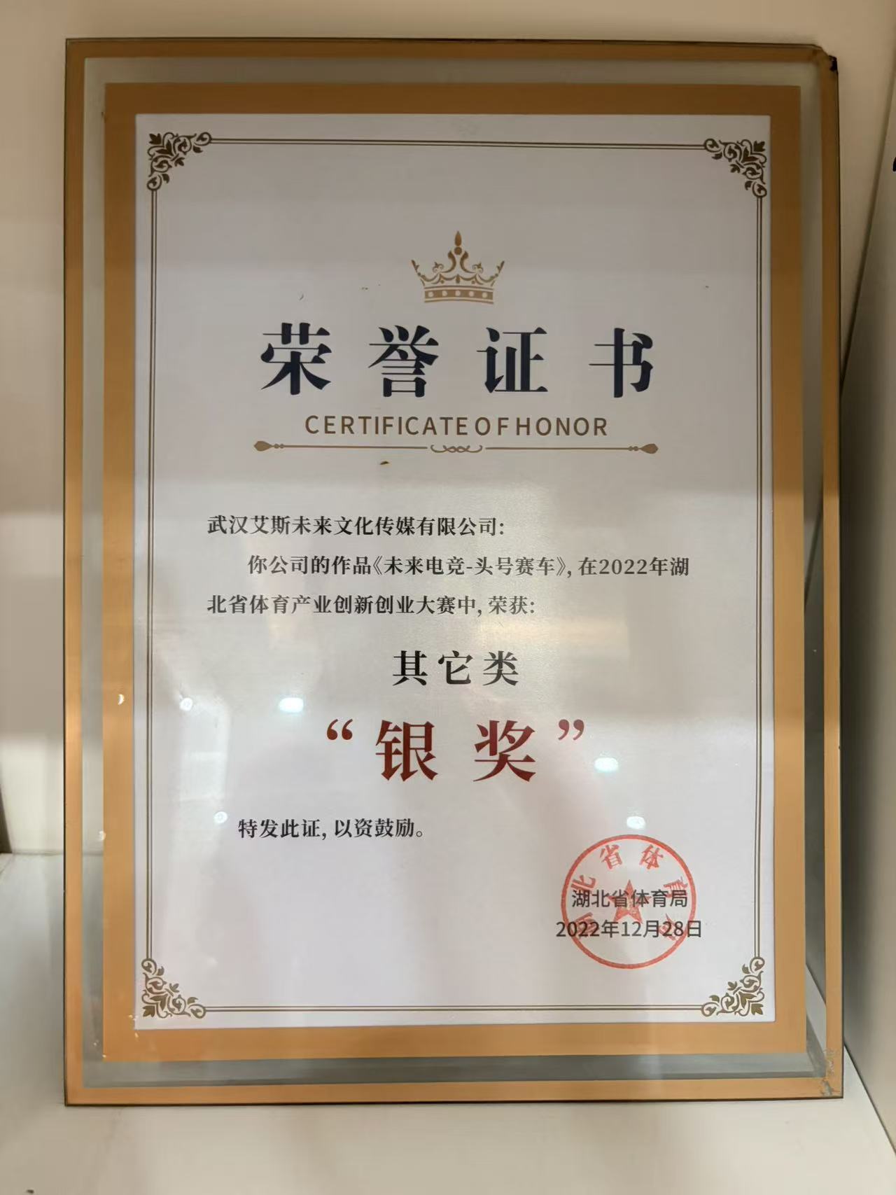 湖北省体育产业创新创业大赛银奖证书