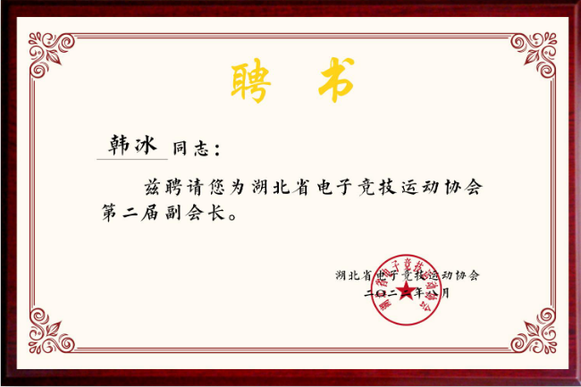 湖北省电子竞技运动协会副会长证书